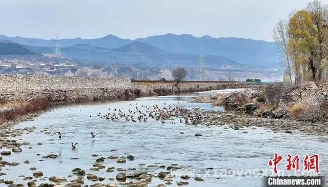 黎城浊漳河：从荒水到旅游胜地的华丽转身