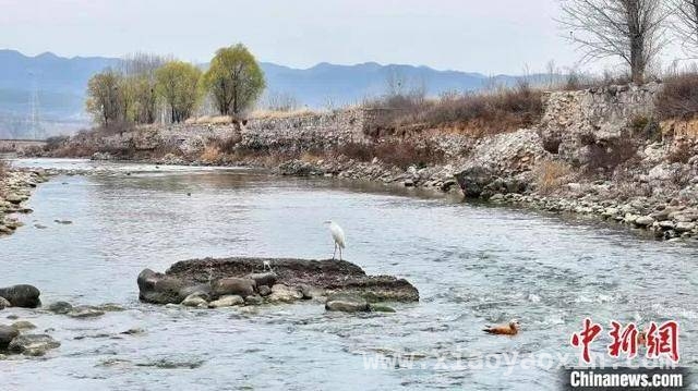 黎城浊漳河：从荒水到旅游胜地的华丽转身