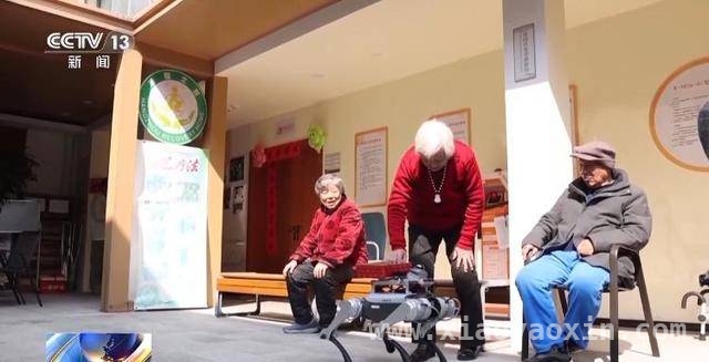 江浙沪养老新探索：让老人“享”老无忧，科技与关怀齐驱，解锁养老新体验