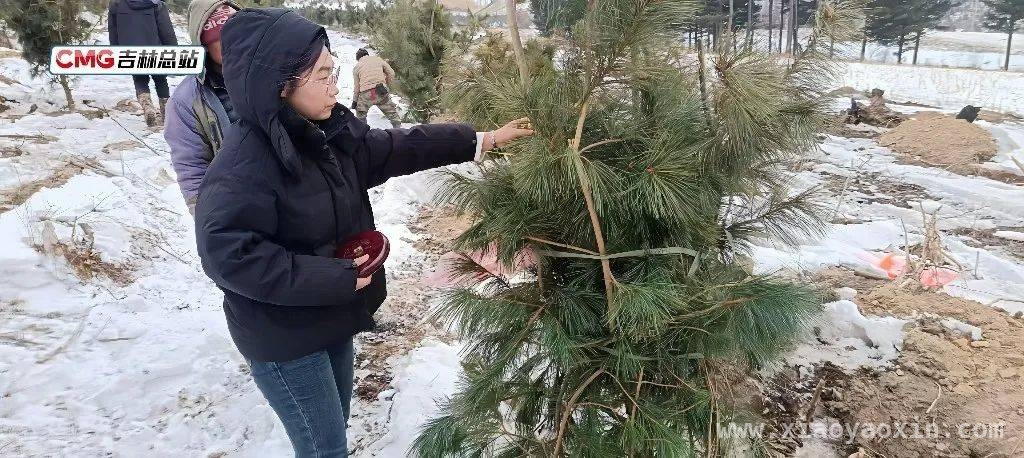 “订单式”培养计划：为吉林基层林草注入新活力 鲁泉恺们：为吉林乡村林草可持续发展添动力