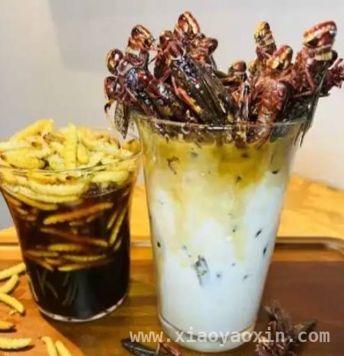 “万物皆可配咖啡”，是噱头还是新潮流？ 惊！咖啡竟能这样“玩”，麻辣组合你敢试吗？