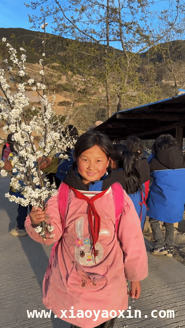拥抱凉山春天，开启诗意生活之旅 世界诗歌日，聆听凉山师生朗读家乡的春天