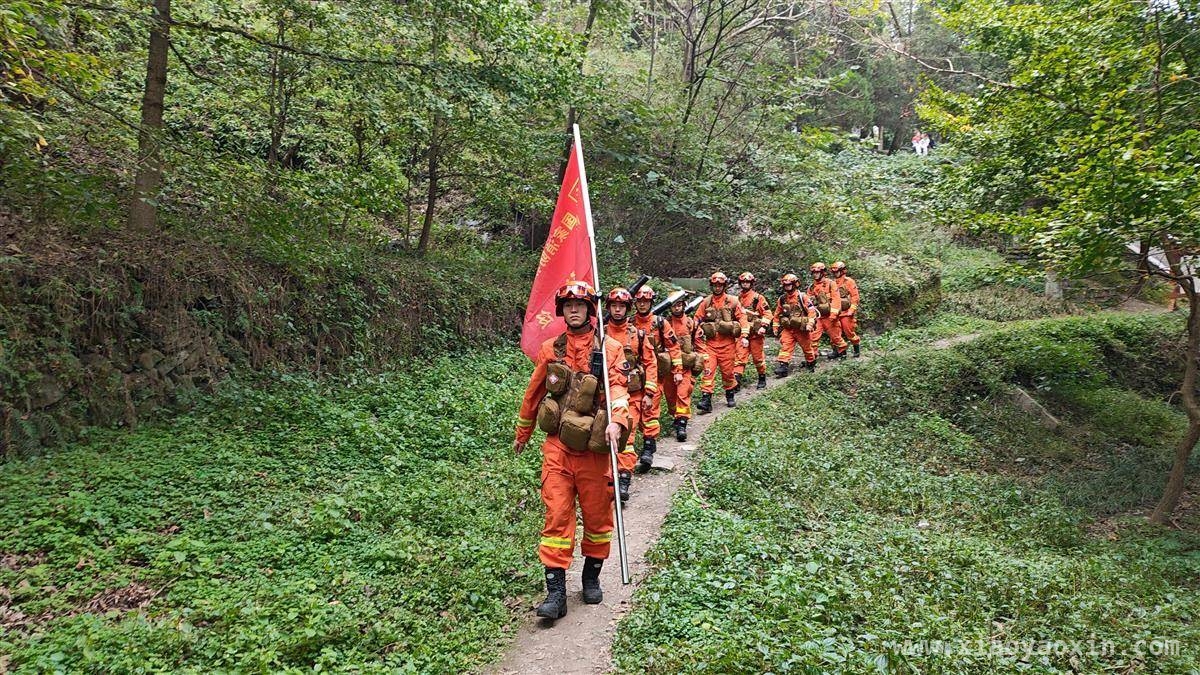 聚焦湖北森林防灭火，国家华中救援中心联合多部门发力