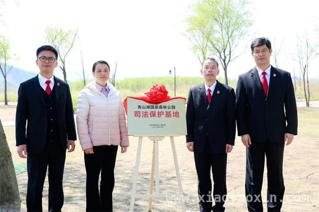 杭州法院发力，守护“地球之肺”生态屏障 临安青山湖：司法力量助力网红森林变身普法新阵地