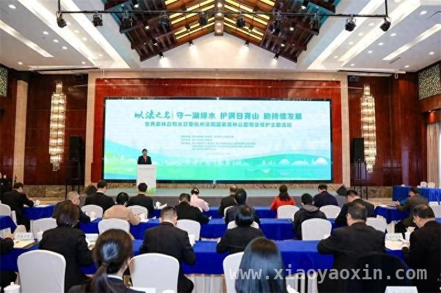 杭州法院发力，守护“地球之肺”生态屏障 临安青山湖：司法力量助力网红森林变身普法新阵地