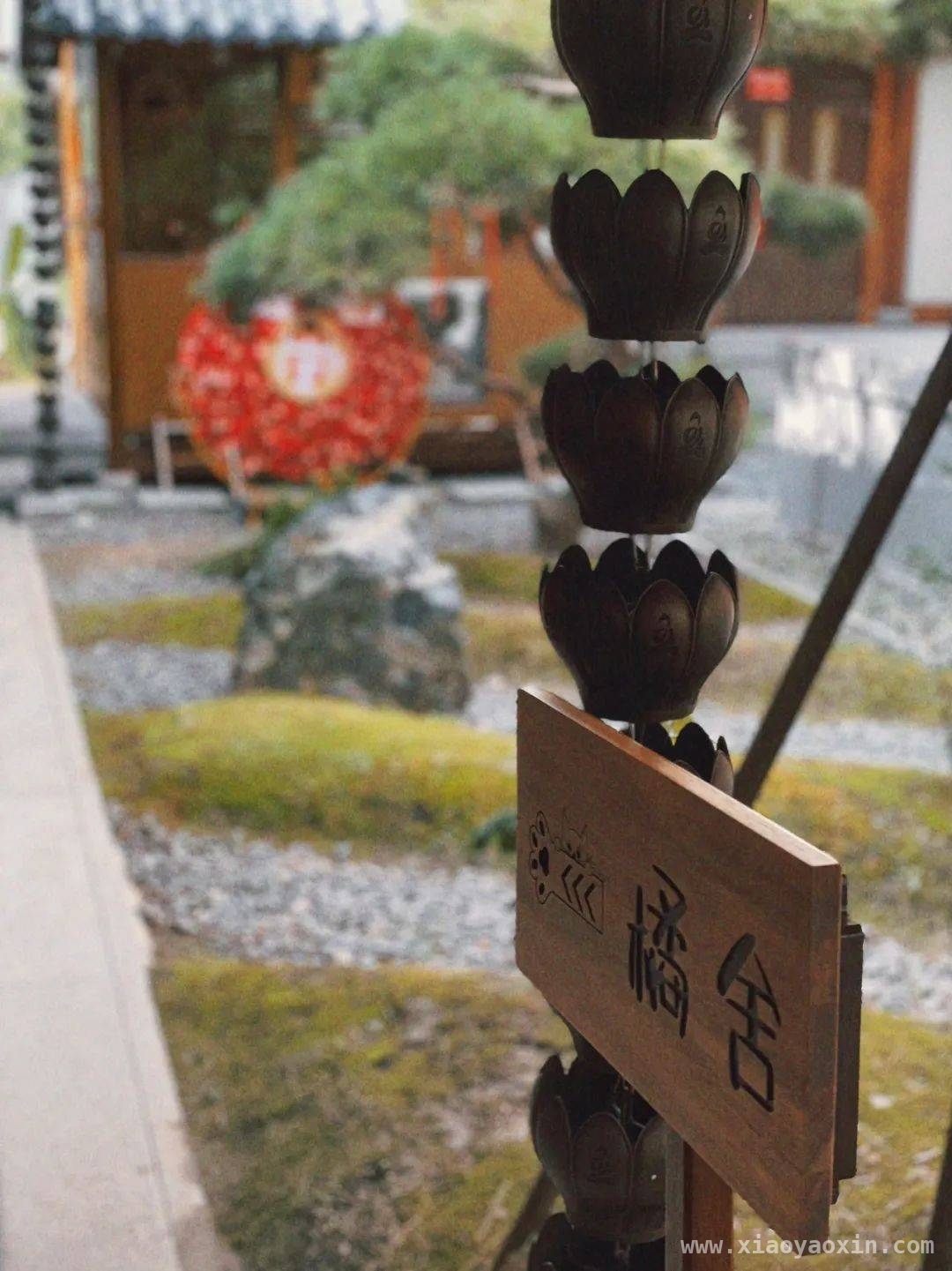 漫步普陀，邂逅春日浪漫打卡地
