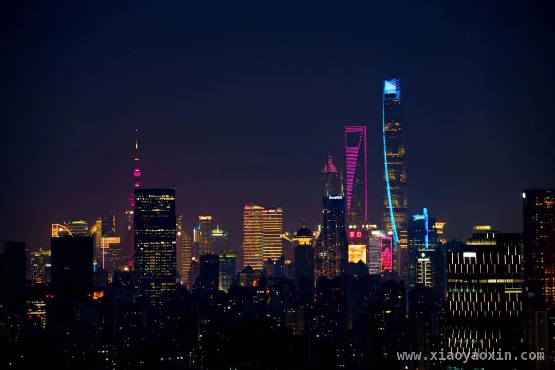 漫步普陀，邂逅春日浪漫打卡地