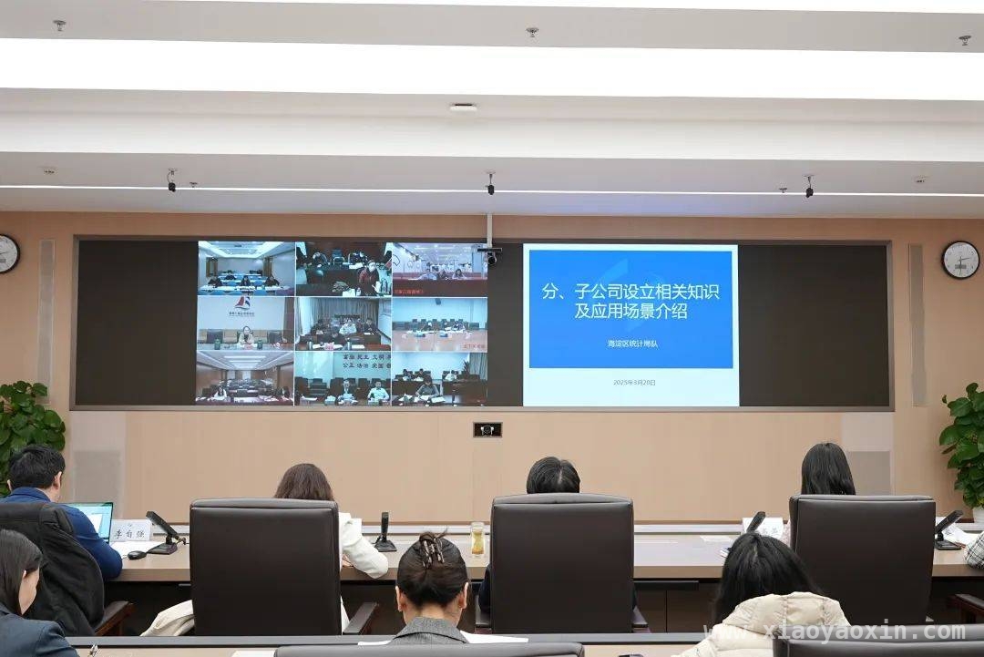 聚焦海淀统计工作：业务培训、工作提示与数据质量保障，海淀统计工作会议：提升业务能力，强化数据质量保障