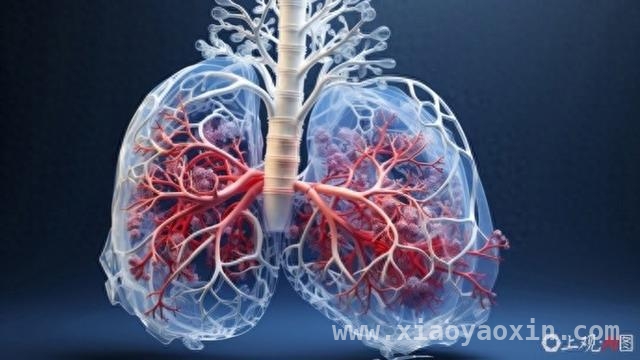 5. 终结结核，上海在行动！结核病防控成效与防治建议解析
