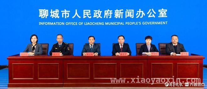 聊城平原乡村振兴：多维度发力，迈向新高度，聊城：平原之上绘就乡村振兴壮美画卷