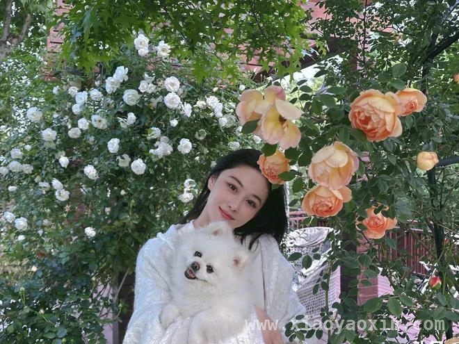 何捷转业引热议，张馨予婚姻背后的幸福密码