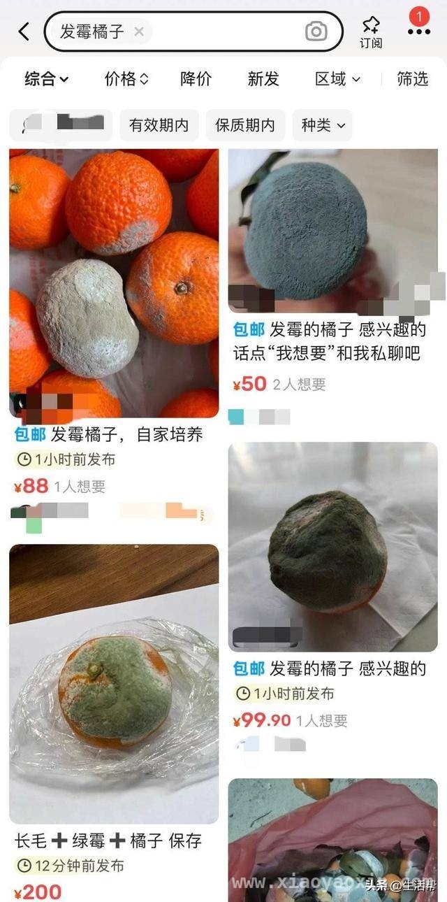 发霉橘子在二手平台疯卖，背后真相惊人