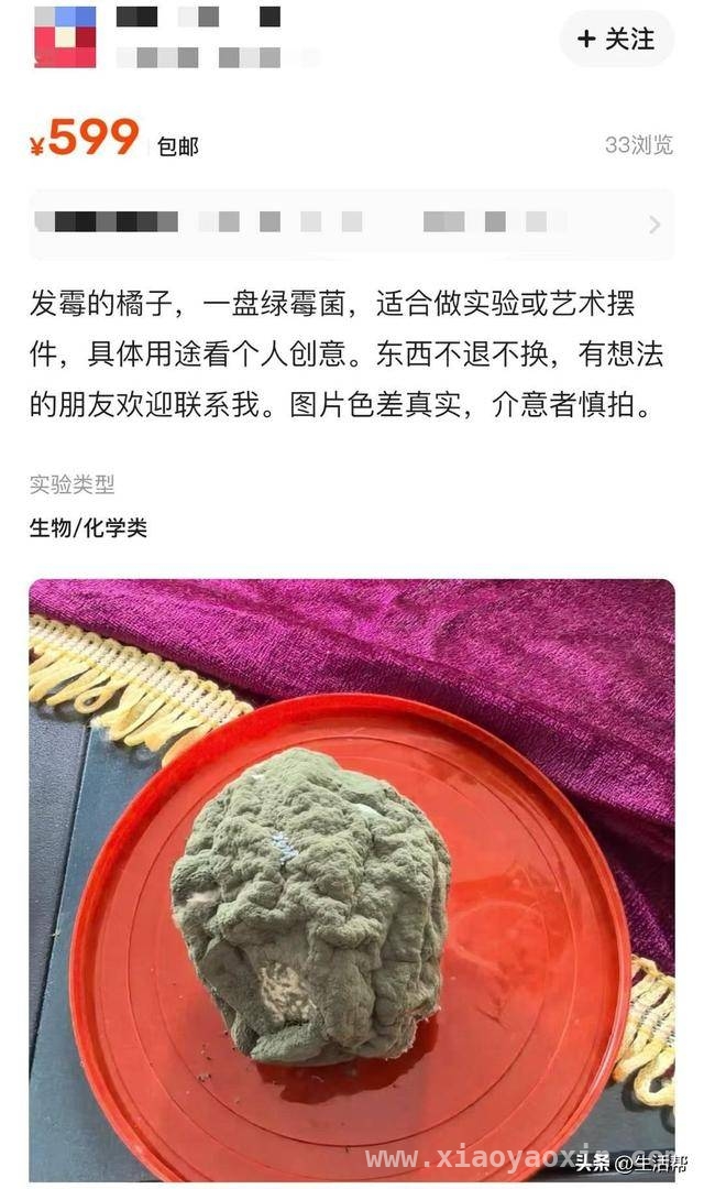 发霉橘子在二手平台疯卖，背后真相惊人