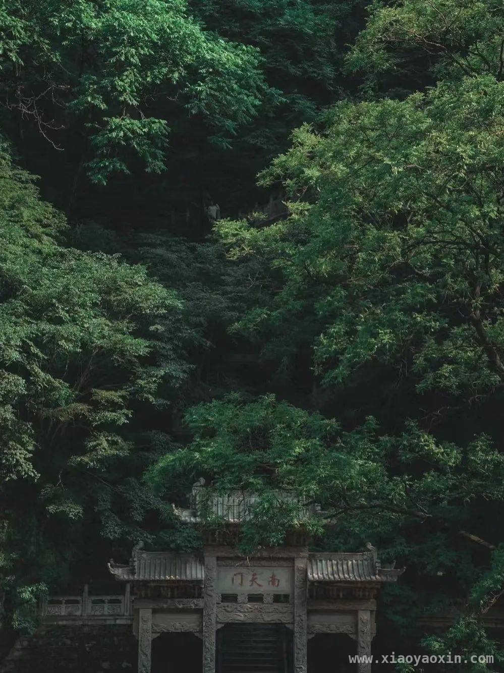3月22到4月6日，凭门票免费打卡藏山！，看音乐剧，免费畅游藏山，这福利谁能拒绝！
