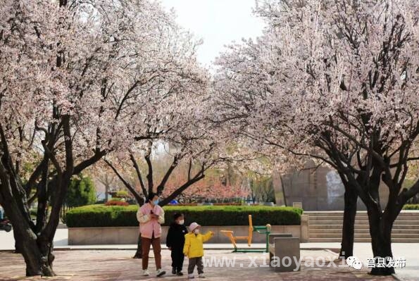 1000份莒县羊汤免费喝，开启春日莒县之旅！，莒县春日盛宴：羊汤与美景的完美邂逅