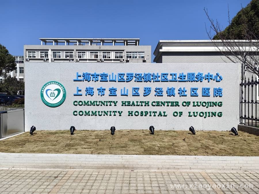 宝山区北部医疗力量升级，居民家门口享受优质医疗服务，宝山区北部医疗力量联盟发力，大型健康咨询活动惠民生