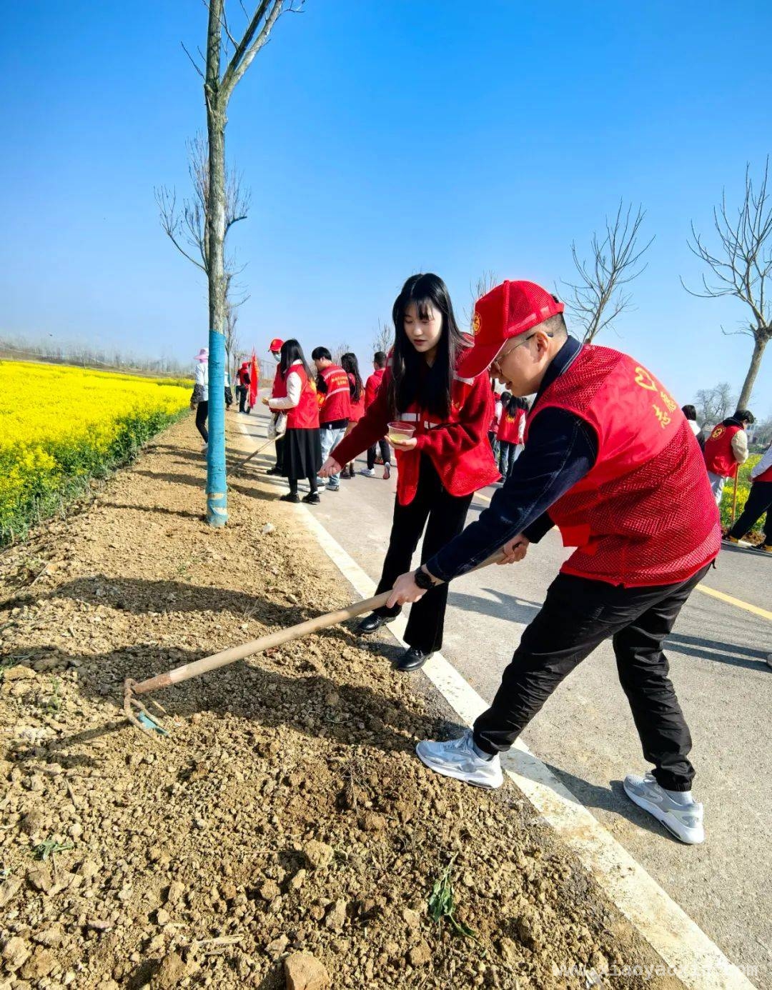 “司法红”邂逅“生态绿”，张家湖湿地青年守护行动进行时