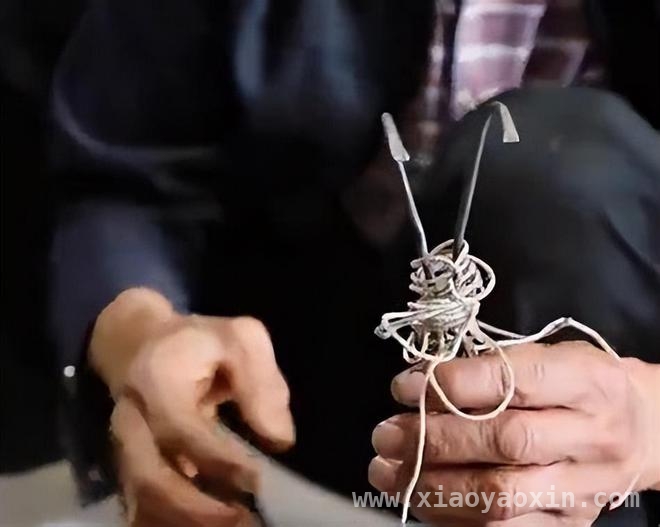 天价燕窝背后：传统手艺难敌年轻人的城市梦 采燕窝：从“财富密码”到传承难题