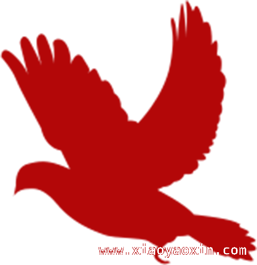 团潮州市委搭建“五联”工程，为青年返乡发展添动力，团潮州市委“五联”工程：拓展青年返乡兴乡“同心圆”