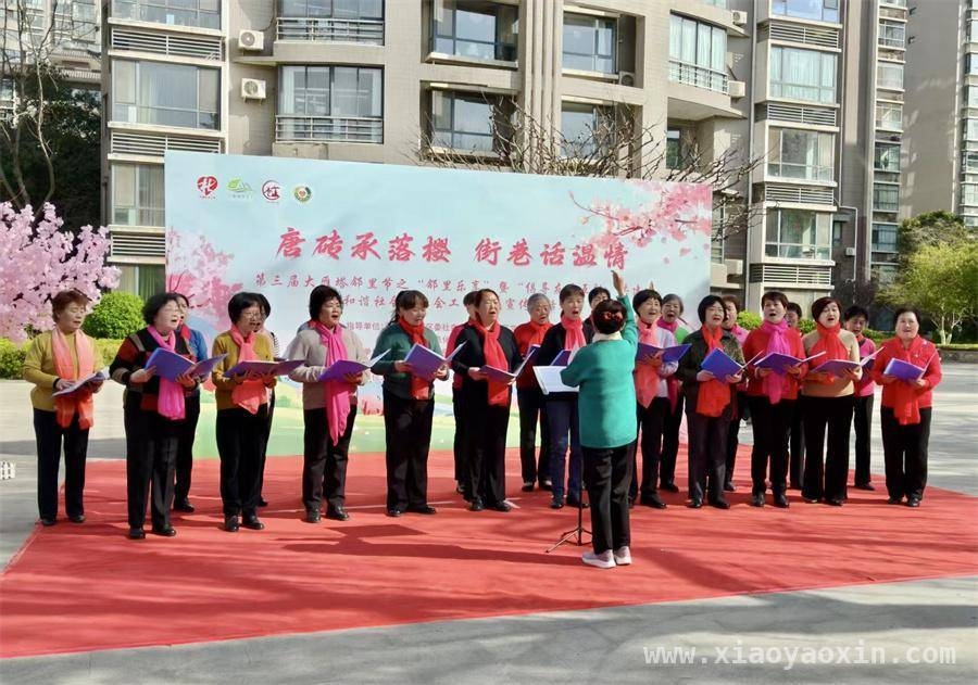 雁塔区大雁塔街道第三届邻里节盛大开幕，共谱社区温情篇章，大雁塔街道第三届邻里节：让友爱互助在社区绽放光彩