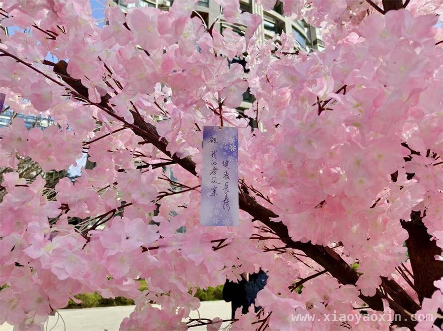 雁塔区大雁塔街道第三届邻里节盛大开幕，共谱社区温情篇章，大雁塔街道第三届邻里节：让友爱互助在社区绽放光彩