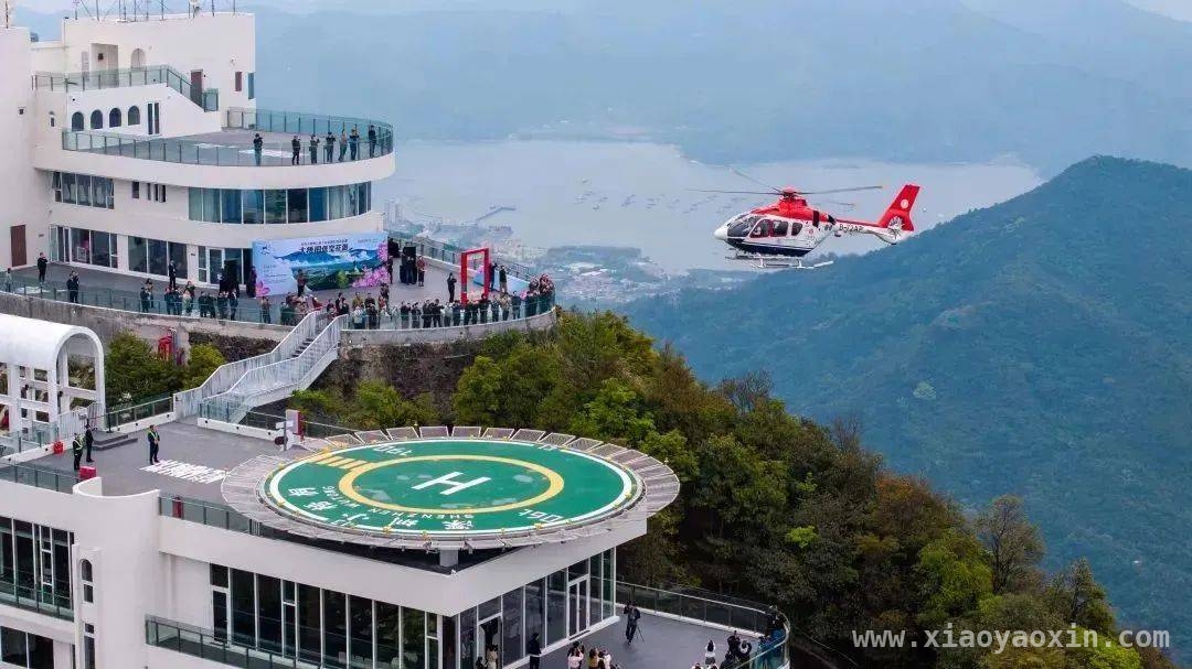 梧桐山低空花游，让你换个视角赏杜鹃！