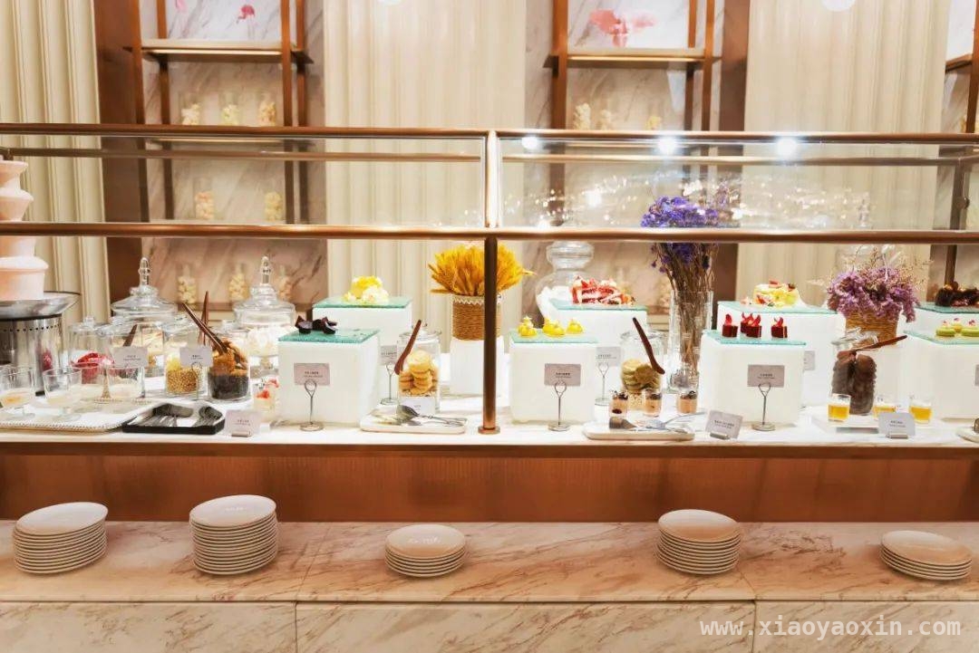 深圳酒店新体验：海鲜自助与海滨度假，深圳酒店大揭秘：美食与美景的双重诱惑