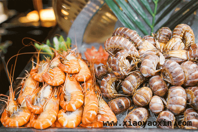 深圳酒店新体验：海鲜自助与海滨度假，深圳酒店大揭秘：美食与美景的双重诱惑