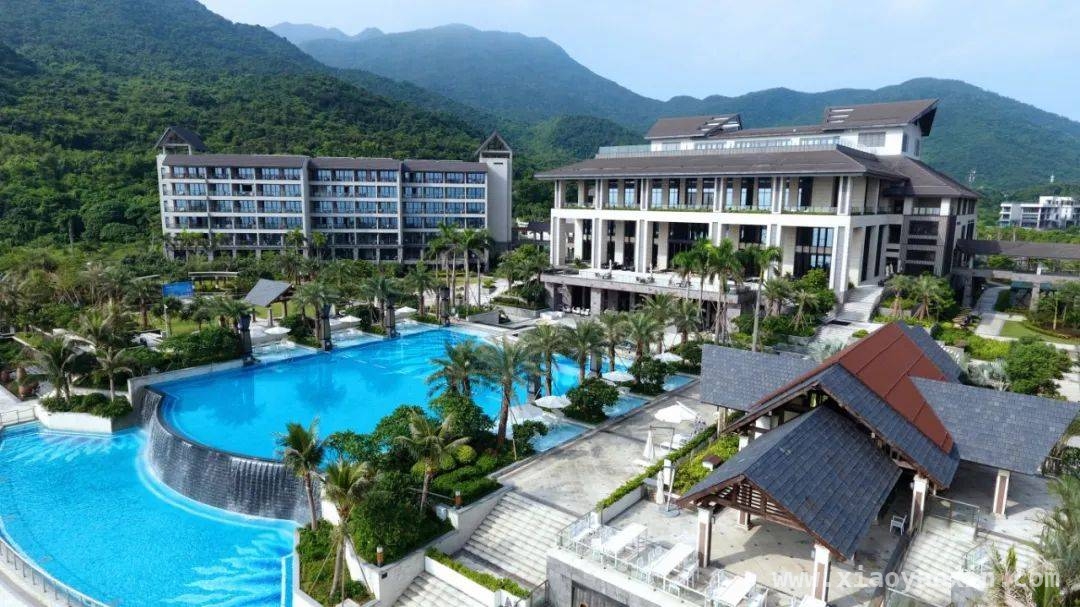 深圳酒店新体验：海鲜自助与海滨度假，深圳酒店大揭秘：美食与美景的双重诱惑