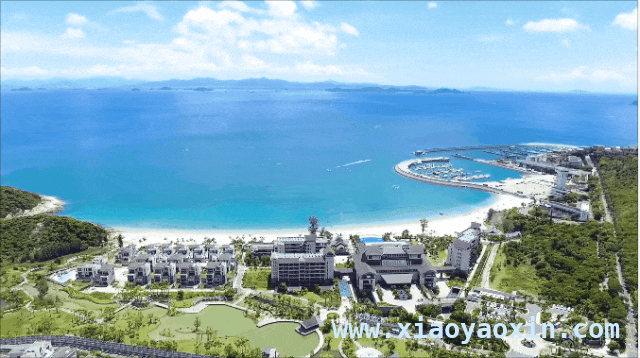 深圳酒店新体验：海鲜自助与海滨度假，深圳酒店大揭秘：美食与美景的双重诱惑