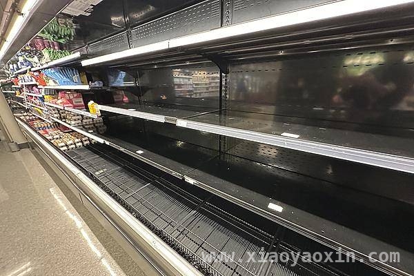 特朗普上任两月，美国鸡蛋价格居高不下，欧洲“救蛋”难，美国蛋荒危机：毒贩走私、窃贼偷蛋，欧洲拒绝支援