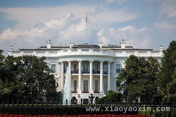 特朗普称俄乌冲突将停火，还提及军事与历史文件公布