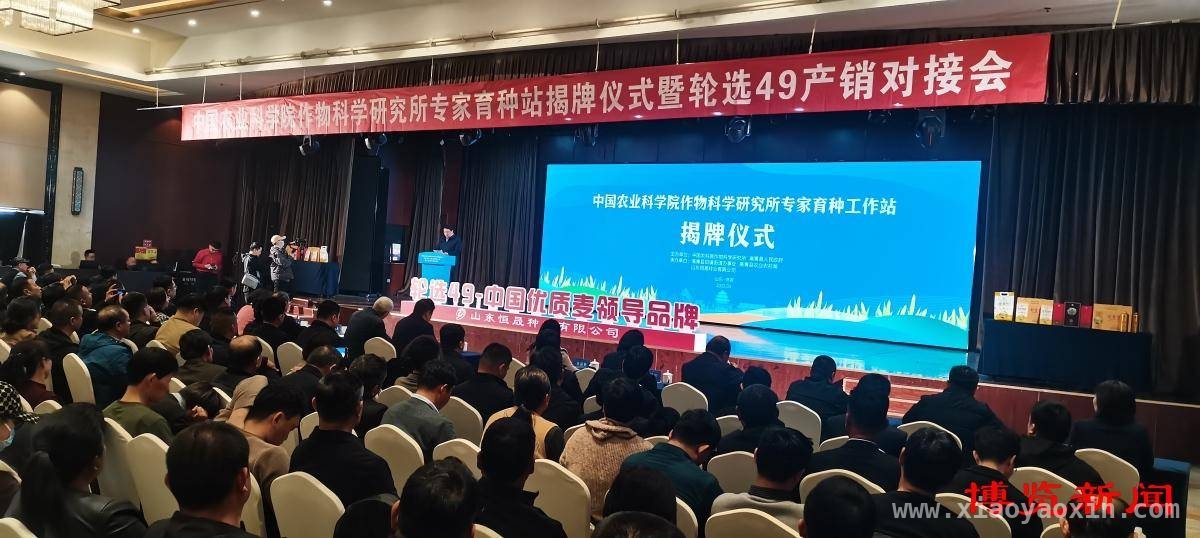 院地合作赋能高青，小麦育种科研站揭牌开启新征程，高青县与农科院合作，“轮选49”小麦带动粮食增产