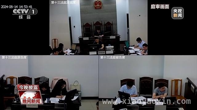 AI创作版权纷争！江苏常熟判决典型著作权案