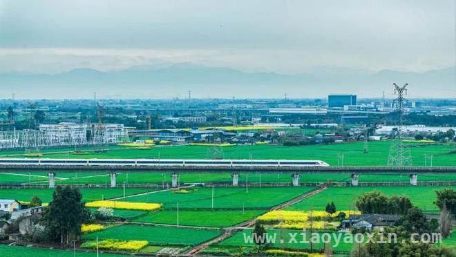 2025年3月21日：科技、消费、自然与国际热点大集合 太空与大地齐焕新：神舟十九号出舱成功，山东购物节盛大启幕