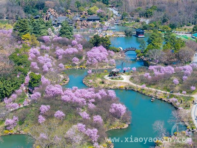 定格蛇年春光：瘦西湖春色摄影大赏，蛇年春日瘦西湖，“春色”摄影展等您来