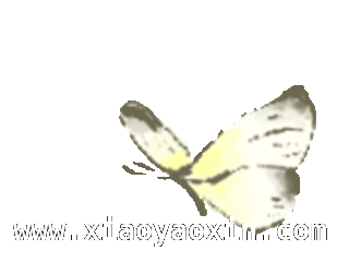 周末好去处！自然学堂与赛先生小剧场活动等你 周末自然与科学活动大揭秘！快来参与吧