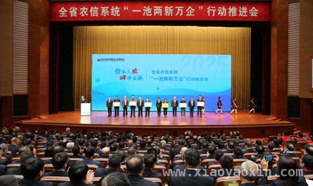 1500余人齐聚！河北农信“一池两新万企”行动推进会上释放哪些信号？，聚焦河北农信“一池两新万企”行动，为实体经济注入金融活水