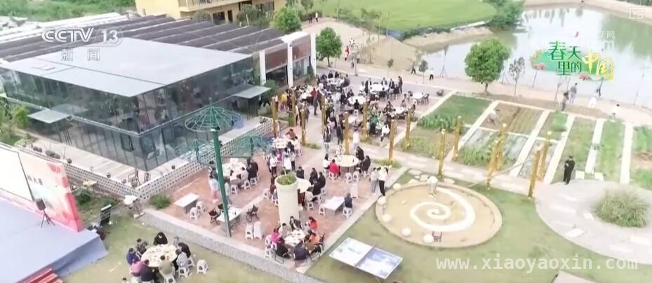 桃花早盛美，枣阳桃产业带富一方百姓，枣阳桃花绽放，农文旅融合激活乡村振兴密码