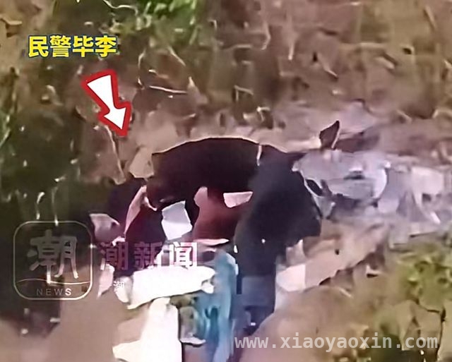 20 分钟缠斗！宁波民警毕李勇擒嫌犯