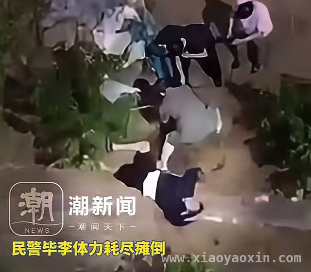 20 分钟缠斗！宁波民警毕李勇擒嫌犯