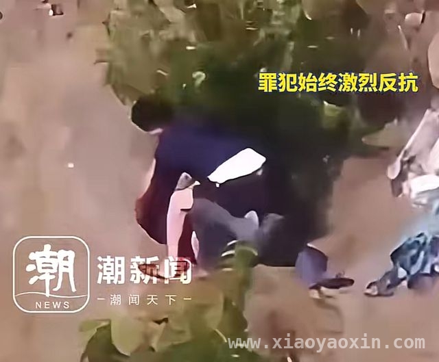 20 分钟缠斗！宁波民警毕李勇擒嫌犯