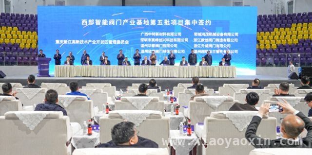 重庆垫江央地合作，智能阀门产业发展再添新动力