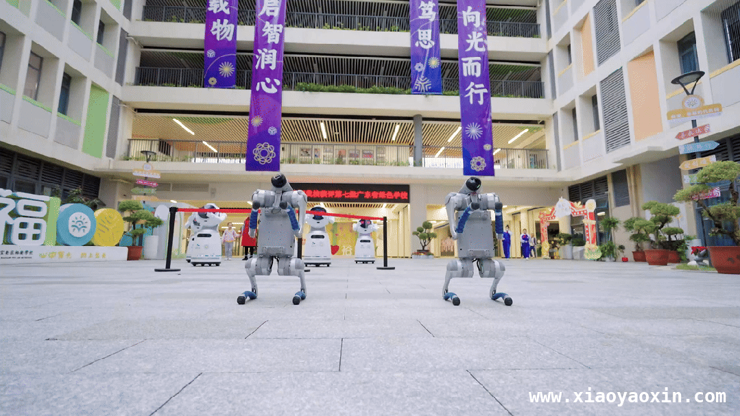 裕安学校科创活动：多维探索培养创新人才