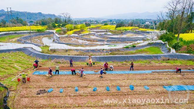 1. 蛇年春日摄影盛宴：“春色”主题展邀您共赏春光