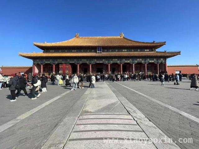 中美少年携手，友谊在旅途中留下深刻印记，手机相册见证：中美少年的友谊之旅