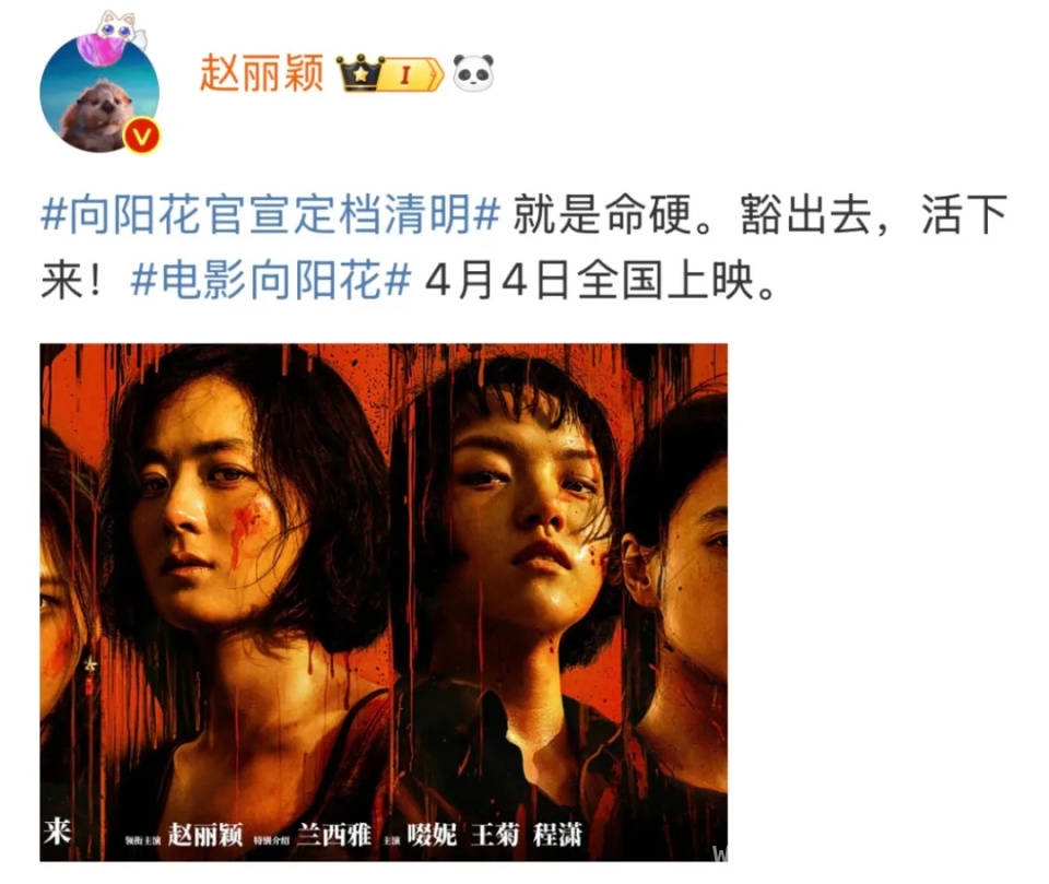 揭秘向阳·花：赵丽颖合作演员讲述拍摄幕后