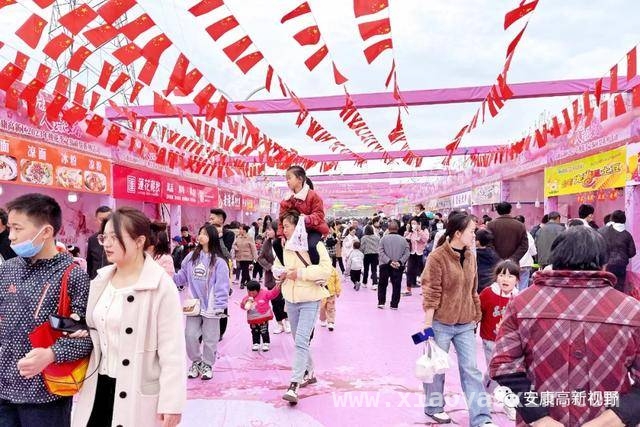 走进安康高新区桃花季，感受高质量发展成效，3月安康高新区桃花季，明星助阵开启欢乐之旅