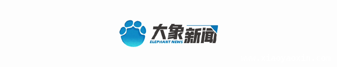 杨国福就门店老鼠问题致歉，多举措保障食品安全