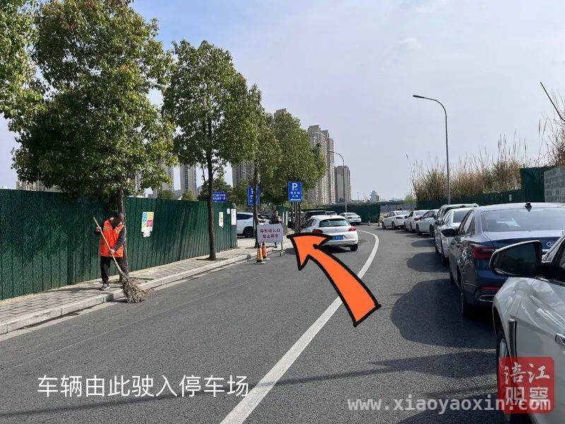 小岛片区交通组织全新优化，告别拥堵不是梦！